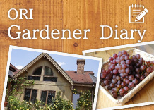 ORI Gardener Diary