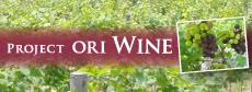 Project ORI Wine